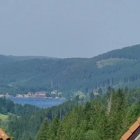 Seeblick In
