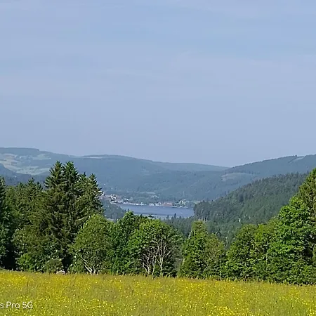 Seeblick In